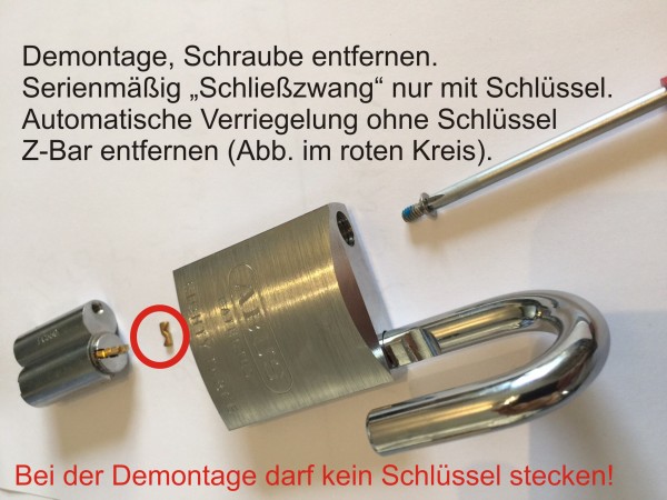EC550 Vorhängeschloss 83/55