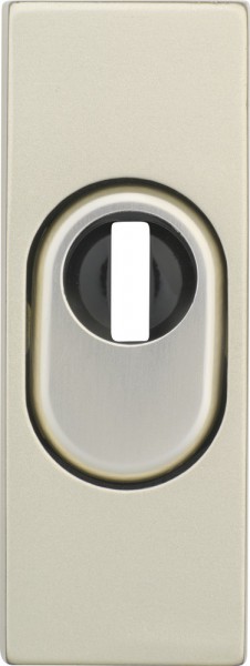 ABUS RSZS 316 F2